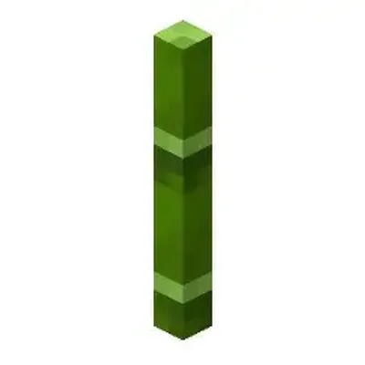 More Bamboo Stuf