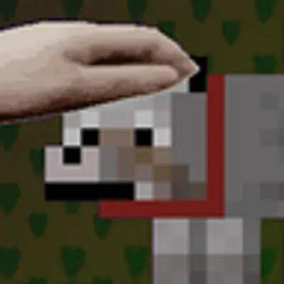 PatPat NH