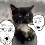 Buzyaka member profile picture