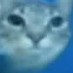 user_gp8h7nm7pk7keefa member profile picture