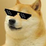 Dogebot3000 member profile picture