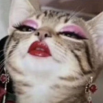 RobynTheGhoul member profile picture