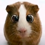 Plaksik member profile picture