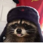 kamiliox member profile picture