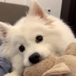 Tt_cx member profile picture