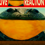 YASERKINGLOL member profile picture