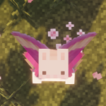 Blushdew member profile picture