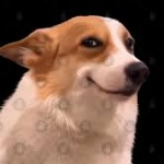 Grandma_EaterOFC member profile picture