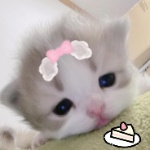 gutdol member profile picture