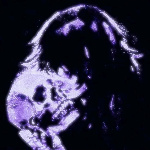 Ly0_0 member profile picture