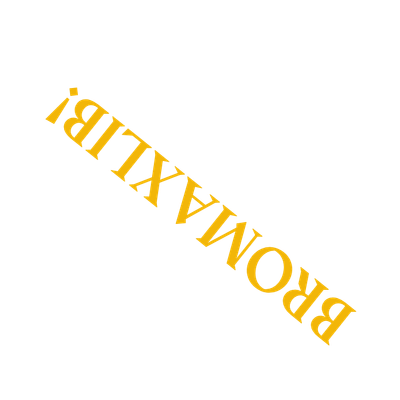 BROMAX Lib logo