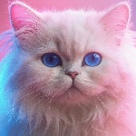 AJ_Beri2026 member profile picture