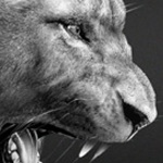 Sim_God121 member profile picture
