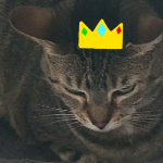Iris_the_witch member profile picture