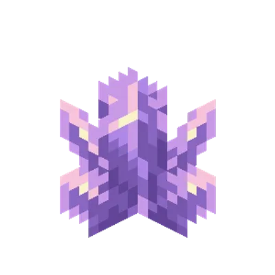 Transmog Placed Blocks