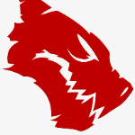 Metric2303 member profile picture
