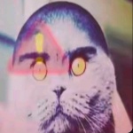 RAGEcc member profile picture