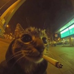 View Irock1196's Profile