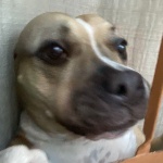 Goldennn member profile picture