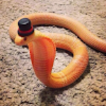 Antik16384 member profile picture