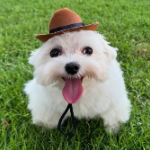 View fgbby's Profile
