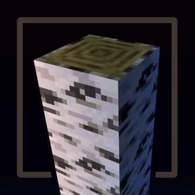 Spooky Birch