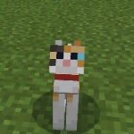 Salphex member profile picture