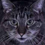View Merb_'s Profile