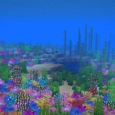 Recoraled Reef