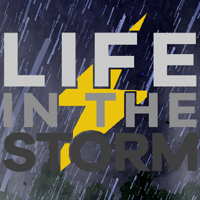 Life in the Storm project artwork