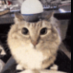 sebevrazednaSekacka member profile picture