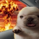 evanelmasguapo member profile picture