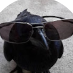 View CrowBS's Profile