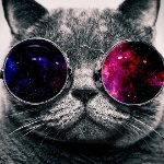 kira0 member profile picture