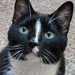 hexedjinx member profile picture