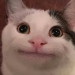 idk69 member profile picture