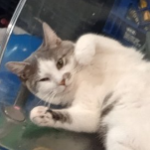 Marbles96834 member profile picture