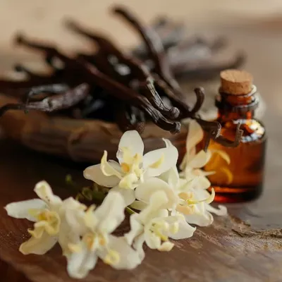 Alexis's Extended Vanilla
