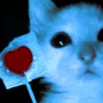 View zbcrft's Profile