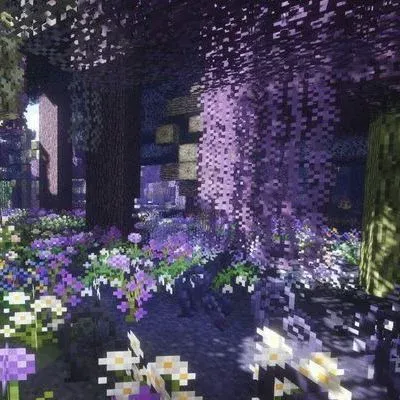 WhimseeCraft