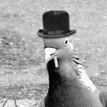 JacoboGarrobo member profile picture