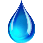 water950 member profile picture