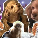 ashleyash member profile picture