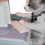Leehcore member profile picture