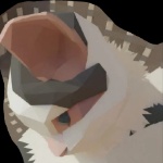 Nathansalayer member profile picture
