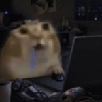 piculd member profile picture