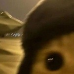Jsynxi member profile picture