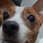 Isaangelsa member profile picture
