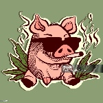 PigglyCoolGuy2012