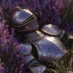 xXFallen_knightXx member profile picture